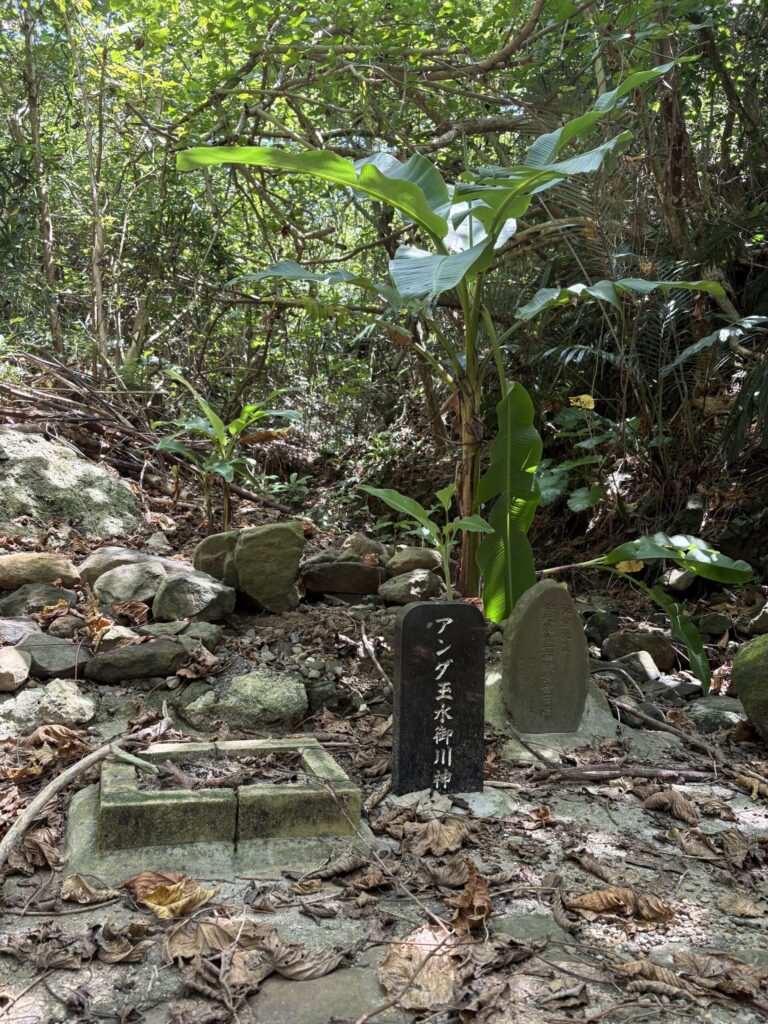 沖縄　八重山　与那国　旅　旅行　祖納　久部良　比川　観光　おすすめ　絶景　ディープ　パワースポット　聖地　御嶽　泡盛　どなん　日本最西端　冒険　探検　放浪　秘境　ビーチ　島　酒造所　ジャングル　クバ　花酒　Drコトー　ティンダバナ　サンニヌ台　立神　サンアイ・イソバ　久部良バリ　東崎　西崎　灯台　与那国馬　固有種　昆虫　生物　国境　台湾　黒潮　自衛隊　基地　カタブル浜　女神　磐座　三女神　岩　　マチリ　トゥニ　ビディリ　ビジュル　砂浜　拝所　崖墓　崖葬墓　ハト　カメ　海底遺跡　古代遺跡　ムー　レムリア　神殿　ストーンサークル　人面石　