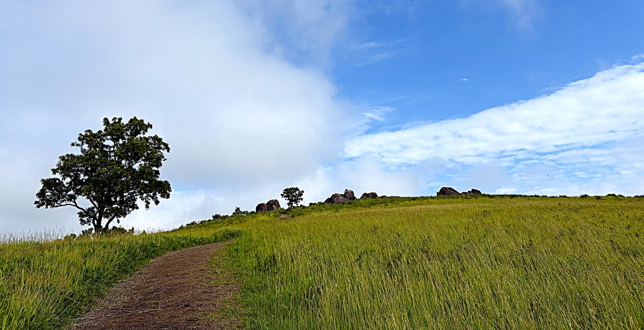 押戸石　熊本　磐座　巨石　遺跡　古代　文明　パワースポット　観光　絶景　気持ち良い　丘陵　磐座　メンヒル　斎つ磐群　湯津石村　五百箇磐村