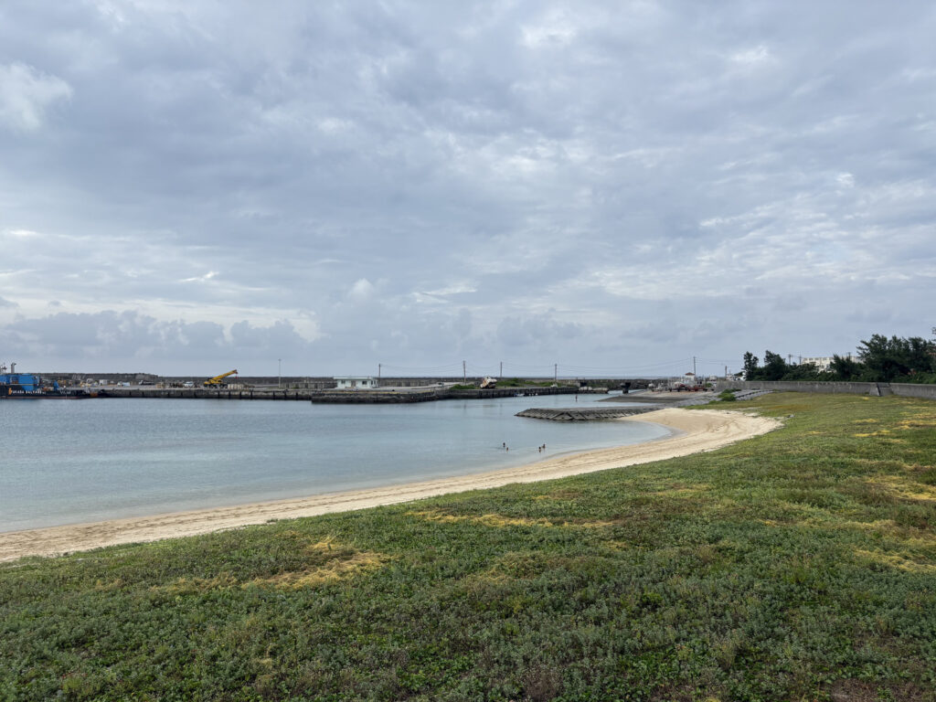 ジャングル　沖縄　八重山　与那国　旅　旅行　祖納　