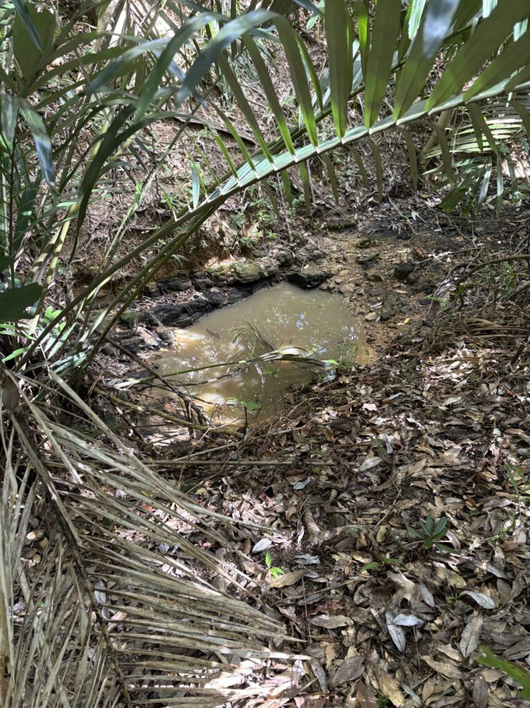 ミミシ,旅、旅行、与那国、与那国島、八重山、沖縄、磐座、岩、拝所、御嶽、知られざる、巨石、文明、巨石文明、失われた、探検、冒険、遺物、遺構、発見、好奇心、山、石造物、顔、蛇、女神、三女神、亀、海神、綿津見、太古、海底遺跡、海、ビーチ、気になる、ハト、鳥、船