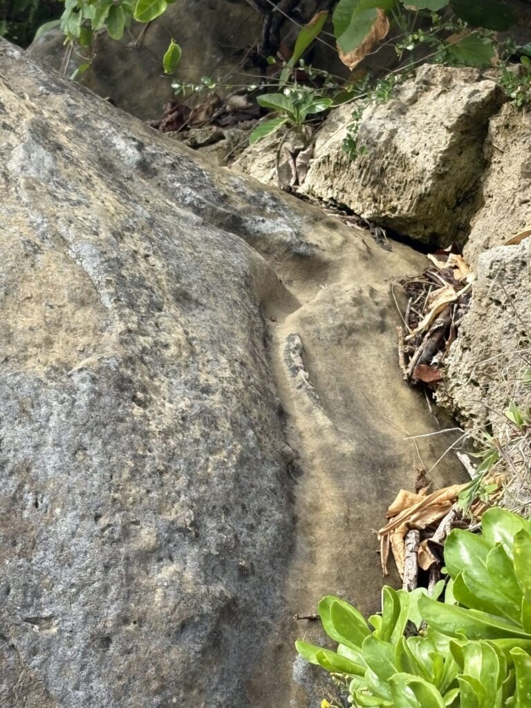 ミミシ,旅、旅行、与那国、与那国島、八重山、沖縄、磐座、岩、拝所、御嶽、知られざる、巨石、文明、巨石文明、失われた、探検、冒険、遺物、遺構、発見、好奇心、山、石造物、顔、蛇、女神、三女神、亀、海神、綿津見、太古、海底遺跡、海、ビーチ、気になる、ハト、鳥、船