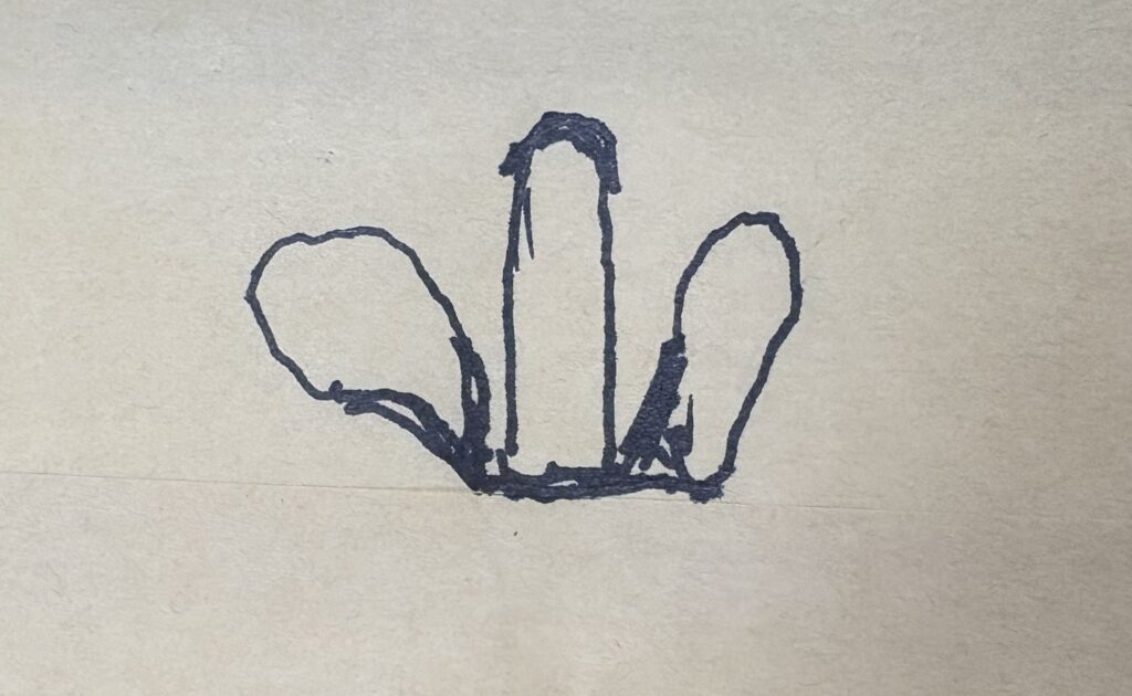 沖縄　八重山　与那国　旅　旅行　祖納　久部良　比川　観光　おすすめ　絶景　ディープ　パワースポット　聖地　御嶽　泡盛　どなん　日本最西端　冒険　探検　放浪　秘境　ビーチ　島　酒造所　ジャングル　クバ　花酒　Drコトー　