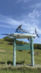 ジャングル　沖縄　八重山　与那国　旅　旅行　久部良岳　久部良　久部良集落