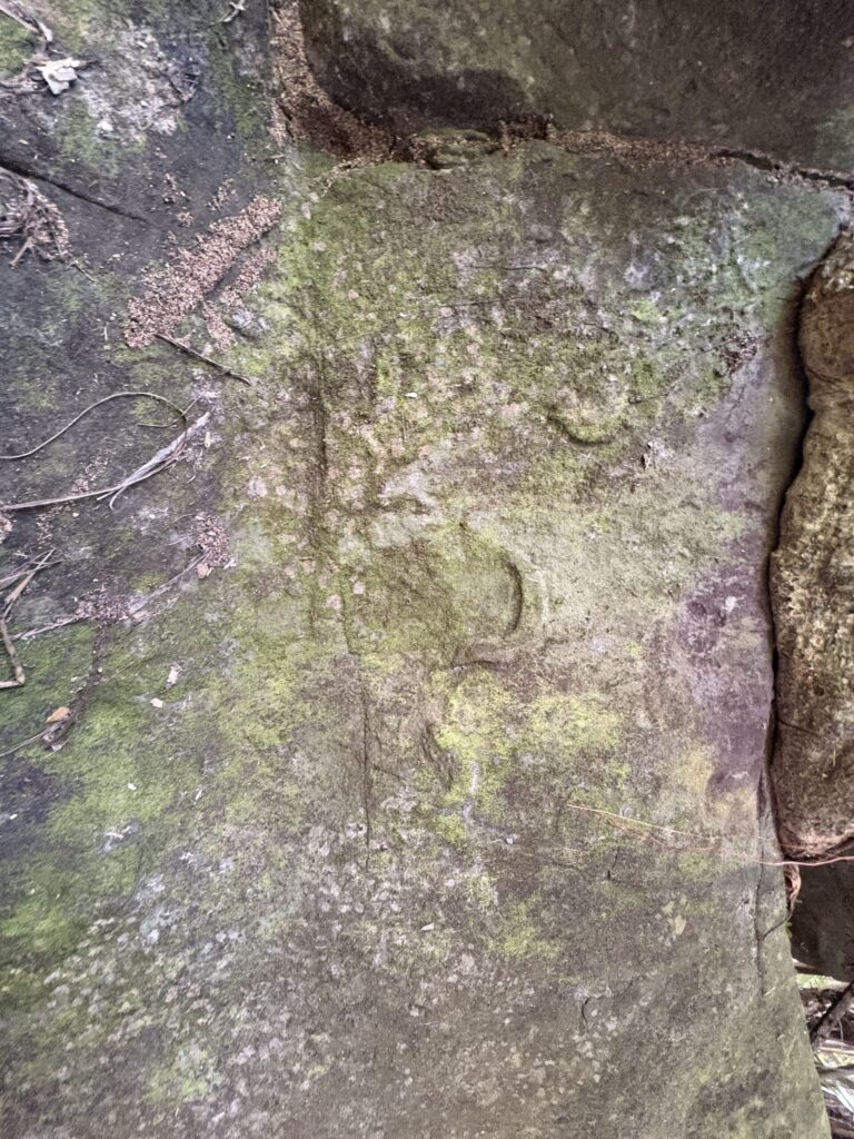 ミミシ,旅、旅行、与那国、与那国島、八重山、沖縄、磐座、岩、拝所、御嶽、知られざる、巨石、文明、巨石文明、失われた、探検、冒険、遺物、遺構、発見、好奇心、山、石造物、顔、蛇、女神、三女神、亀、海神、綿津見、太古、海底遺跡、海、ビーチ、気になる、ハト、鳥、船