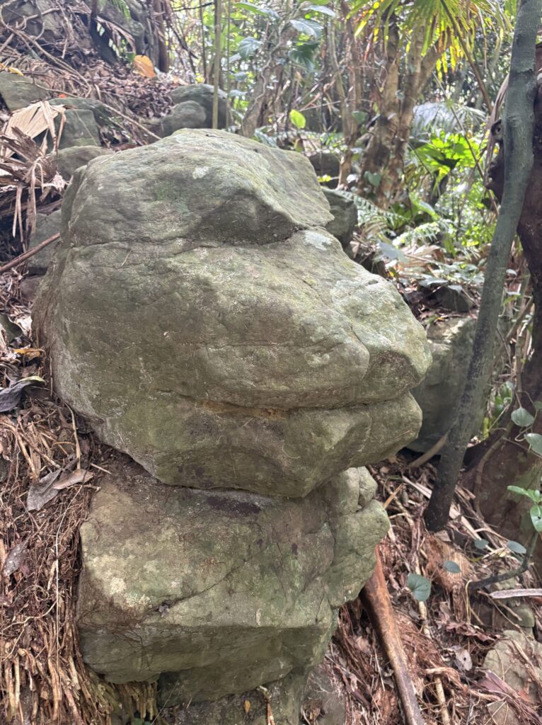 旅、旅行、与那国、与那国島、八重山、沖縄、磐座、岩、拝所、御嶽、知られざる、巨石、文明、巨石文明、失われた、探検、冒険、遺物、遺構、発見、好奇心、山、石造物、顔、蛇、女神、三女神、亀、海神、綿津見、太古、海底遺跡、海、ビーチ、気になる、ハト、鳥、船