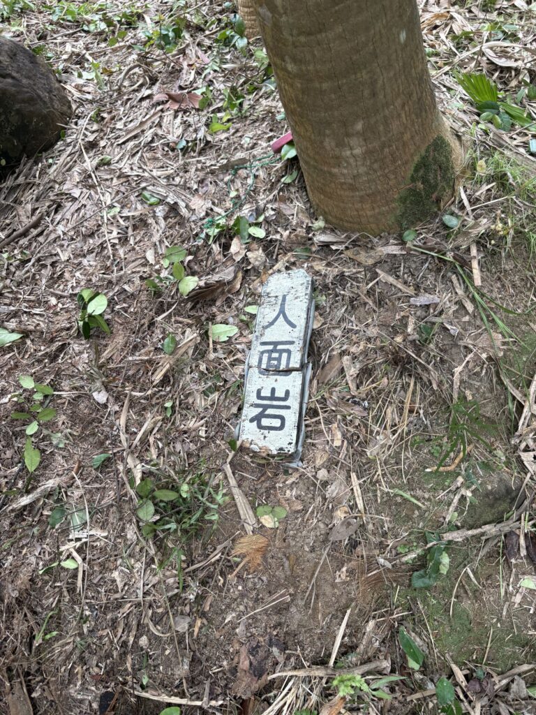 沖縄　八重山　与那国　旅　旅行　祖納　久部良　比川　観光　おすすめ　絶景　ディープ　パワースポット　聖地　御嶽　泡盛　どなん　日本最西端　冒険　探検　放浪　秘境　ビーチ　島　酒造所　ジャングル　クバ　花酒　Drコトー　ティンダバナ　サンニヌ台　立神　サンアイ・イソバ　久部良バリ　東崎　西崎　灯台　与那国馬　固有種　昆虫　生物　国境　台湾　黒潮　自衛隊　基地　カタブル浜　女神　磐座　三女神　岩　　マチリ　トゥニ　ビディリ　ビジュル　砂浜　拝所　崖墓　崖葬墓　ハト　カメ　海底遺跡　古代遺跡　ムー　レムリア　神殿　ストーンサークル　人面石　