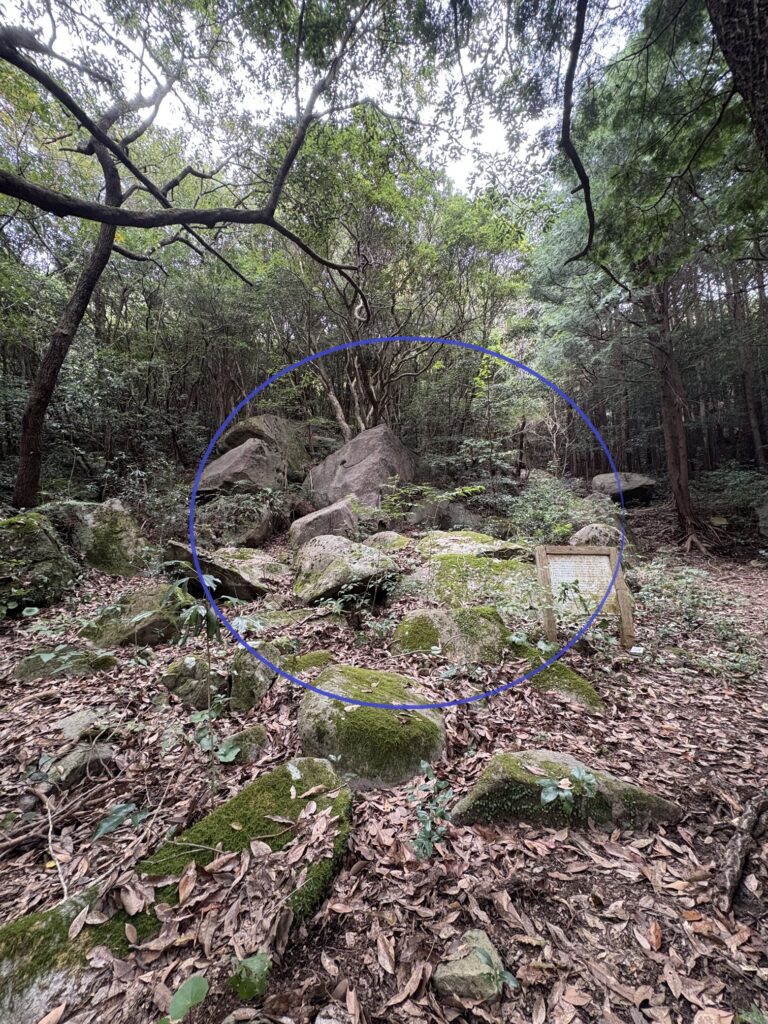 矢岳　熊本　天草　ドルメン　