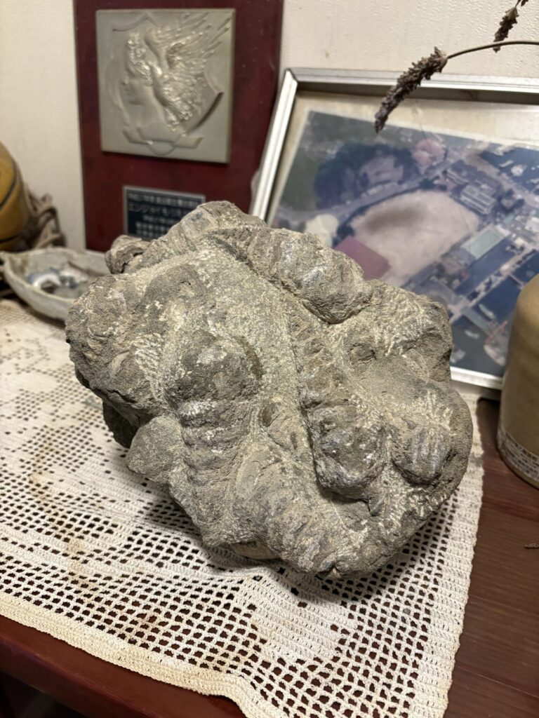 九州　旅　旅行　観光　体験　ツアー　熊本　天草　御所浦島　恐竜　アンモナイト　港　海　化石　地学　刺身　魚　漁港　不知火　探検　冒険　発見　好奇心　磐座　巨石　矢岳　白嶽　ドルメン　巨石　磐座