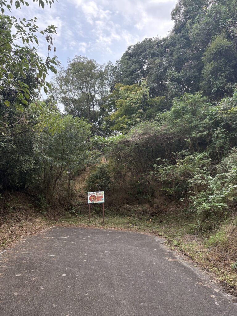 熊本　天草　矢岳　白嶽　ドルメン　巨石　磐座　
