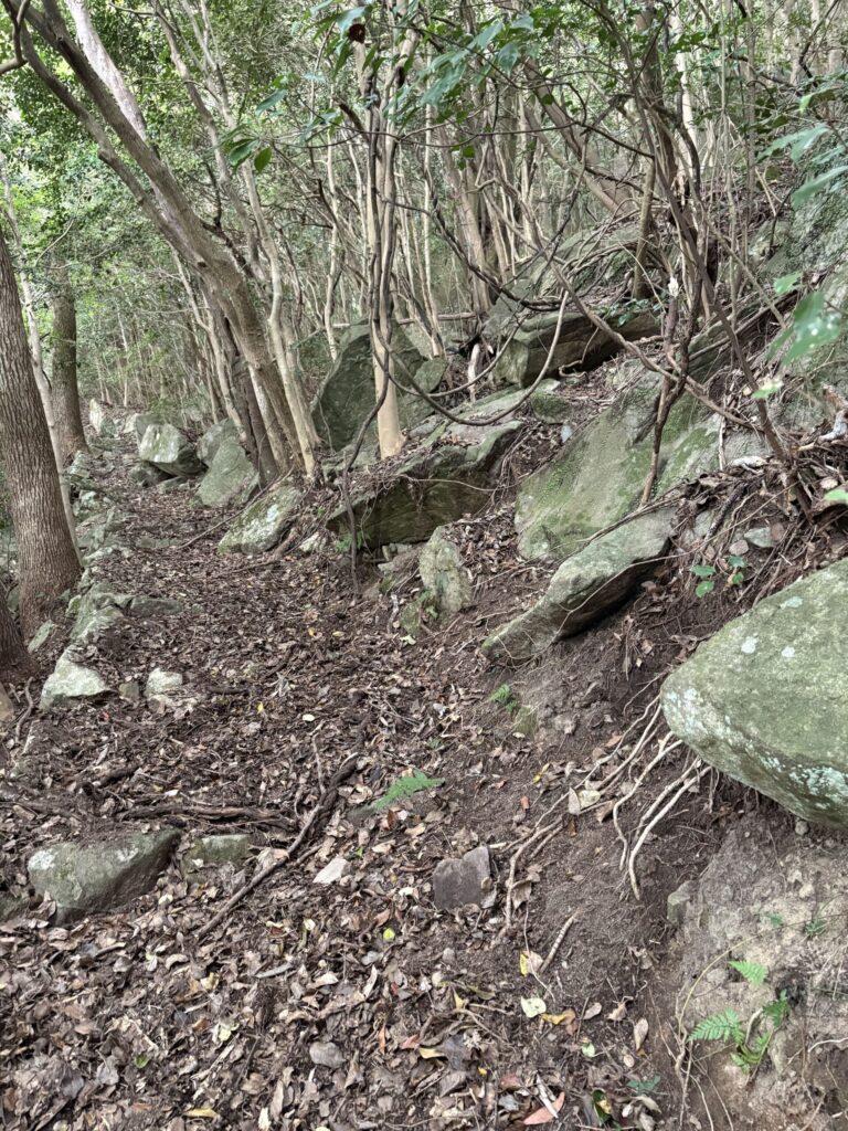 熊本　天草　矢岳　白嶽　ドルメン　巨石　磐座　