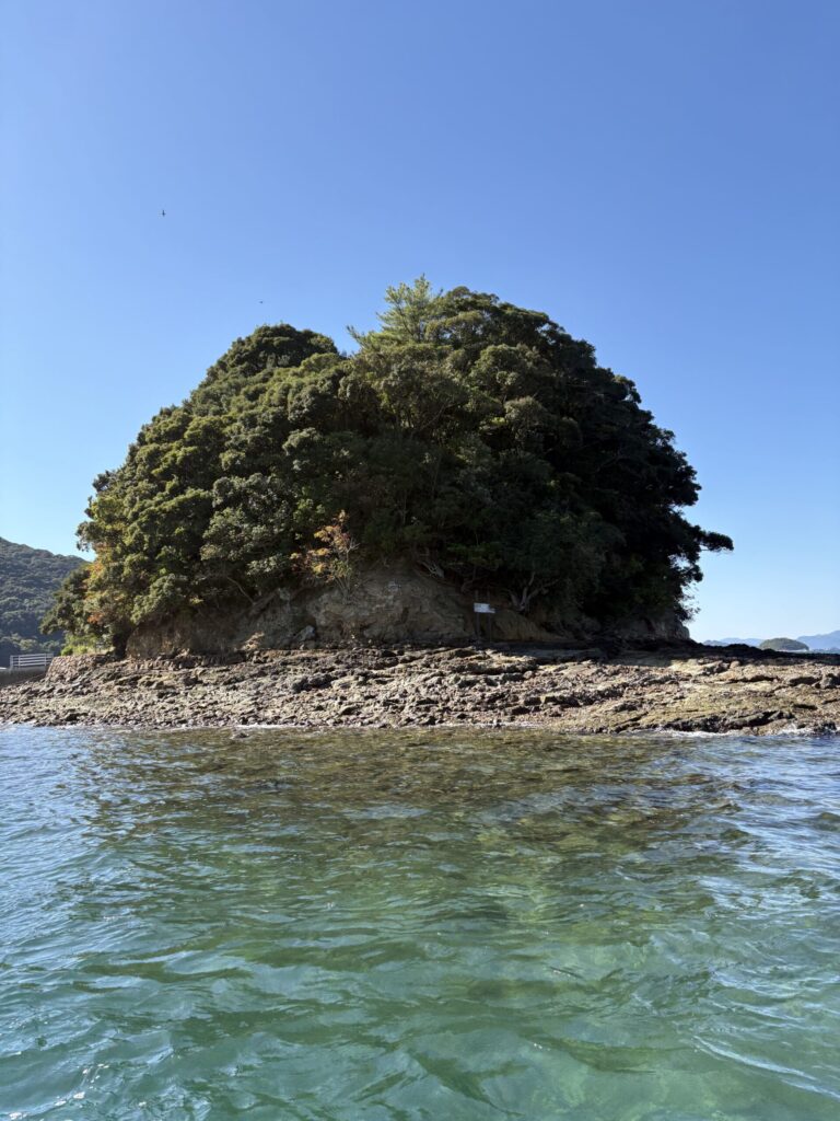 九州　旅　旅行　観光　体験　ツアー　熊本　天草　御所浦島　恐竜　アンモナイト　港　海　化石　地学　刺身　魚　漁港　不知火　探検　冒険　発見　好奇心　磐座　巨石　矢岳　白嶽　ドルメン　巨石　磐座