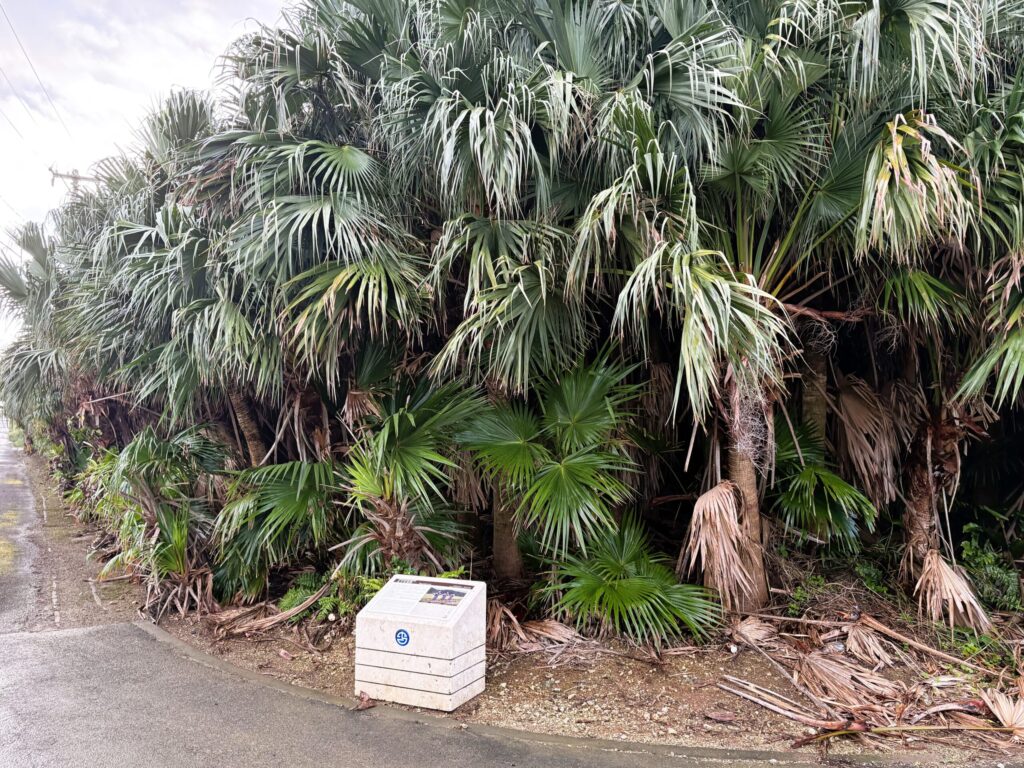 沖縄 与那国島 比川集落 本家 マチリ 拝所 トゥニ 御嶽 10干 陰陽五行説 庚申