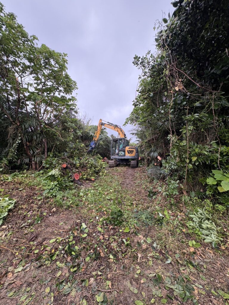 沖縄　与那国島　比川集落　本家　マチリ　拝所　トゥニ　御嶽　１０干　陰陽五行説　庚申