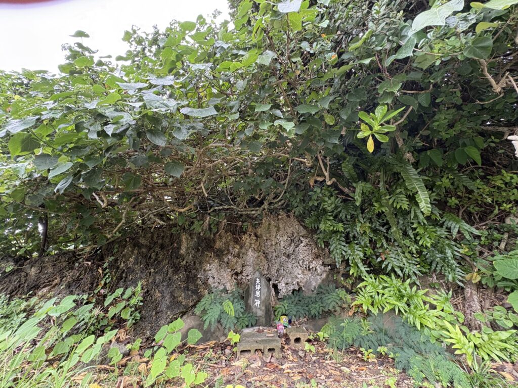 旅 旅行 沖縄 八重山 クバ DANCE tradition okinawa yonaguni 甲子 踊り 太鼓 祭壇 まつり 祭り 宴会 伝統 承継 伝承 親族 一族 集い 家族 社会 ハト　沖縄　与那国島　比川集落　本家　マチリ　拝所　トゥニ　御嶽　１０干　陰陽五行説　庚申 食事 １２支 杯 ワダツミ 海神 トゥニ ビディリ