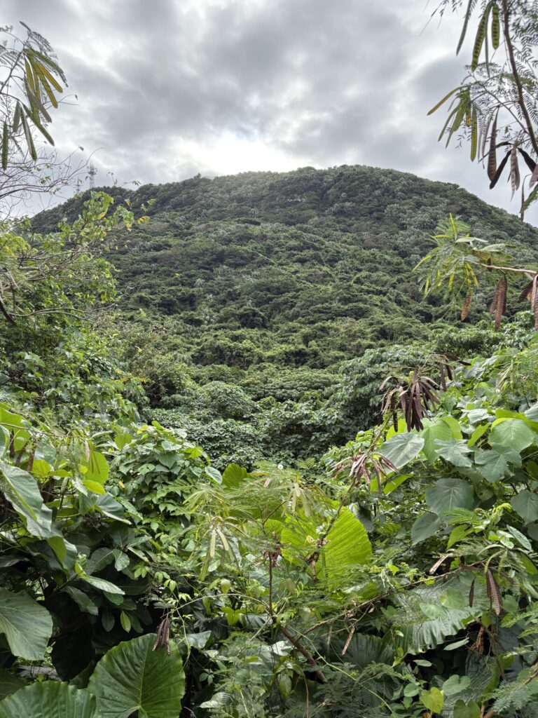 沖縄 与那国島 比川集落 本家 マチリ 拝所 トゥニ 御嶽 10干 陰陽五行説 庚申