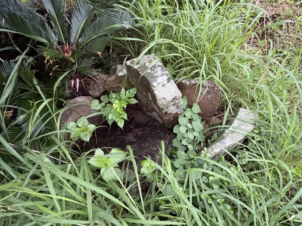 旅 旅行 沖縄 八重山 クバ DANCE tradition okinawa yonaguni 甲子 踊り 太鼓 祭壇 まつり 祭り 宴会 伝統 承継 伝承 親族 一族 集い 家族 社会 ハト　沖縄　与那国島　比川集落　本家　マチリ　拝所　トゥニ　御嶽　１０干　陰陽五行説　庚申 食事 １２支 杯 ワダツミ 海神 トゥニ ビディリ