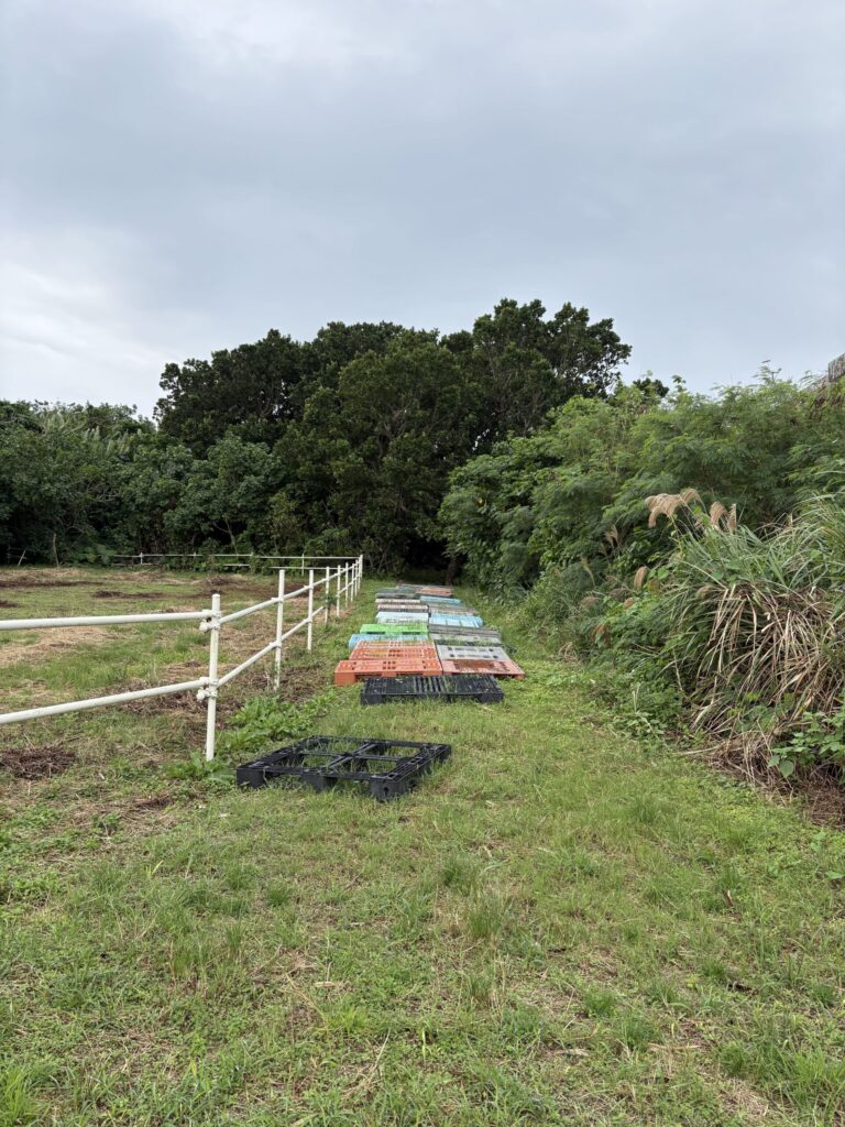 沖縄　与那国島　比川集落　本家　マチリ　拝所　トゥニ　御嶽　１０干　陰陽五行説　庚申