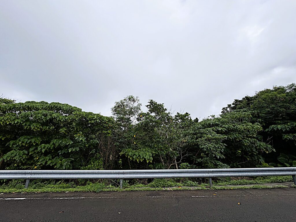 沖縄 与那国島 比川集落 本家 マチリ 拝所 トゥニ 御嶽 10干 陰陽五行説 庚申