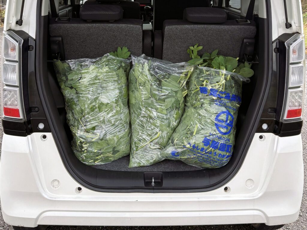 沖縄 与那国島 比川集落 本家 マチリ 拝所 トゥニ 御嶽 10干 陰陽五行説 庚申