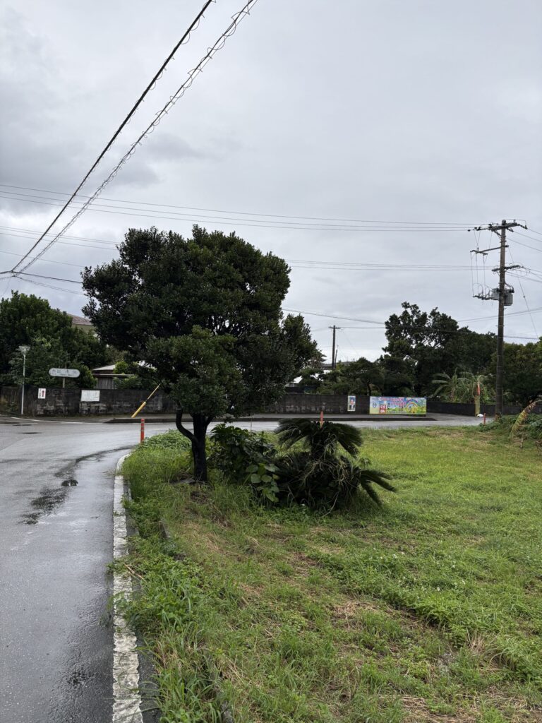 旅 旅行 沖縄 八重山 クバ DANCE tradition okinawa yonaguni 甲子 踊り 太鼓 祭壇 まつり 祭り 宴会 伝統 承継 伝承 親族 一族 集い 家族 社会 ハト 沖縄 与那国島 比川集落 本家 マチリ 拝所 トゥニ 御嶽 10干 陰陽五行説 庚申 食事 12支 杯 ワダツミ 海神 トゥニ ビディリ