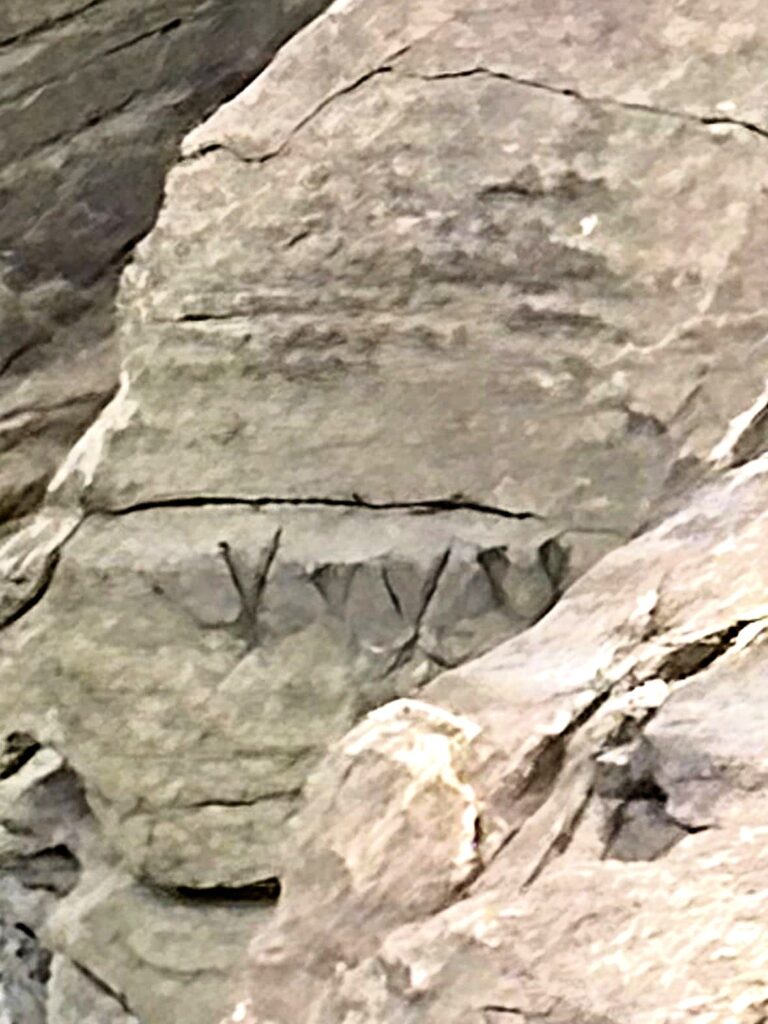 沖縄 与那国島 比川集落 本家 マチリ 拝所 トゥニ 御嶽 10干 陰陽五行説 庚申