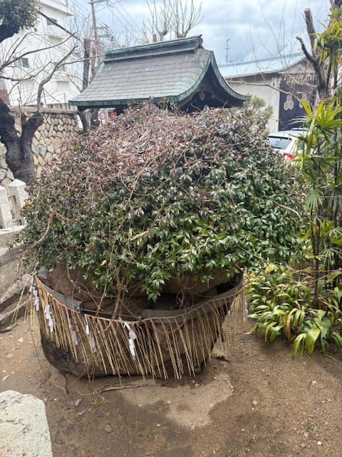 六甲　灘区　神戸市　兵庫県　見晴らし　厳島神社　