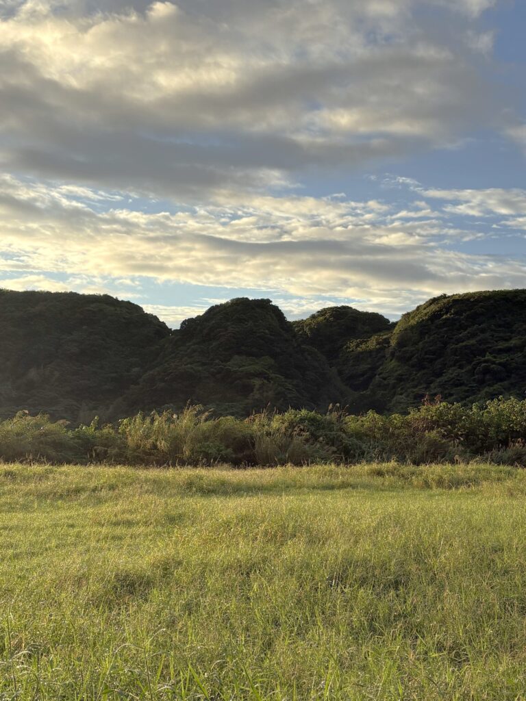 沖縄 与那国島 比川集落 本家 マチリ 拝所 トゥニ 御嶽 10干 陰陽五行説 庚申