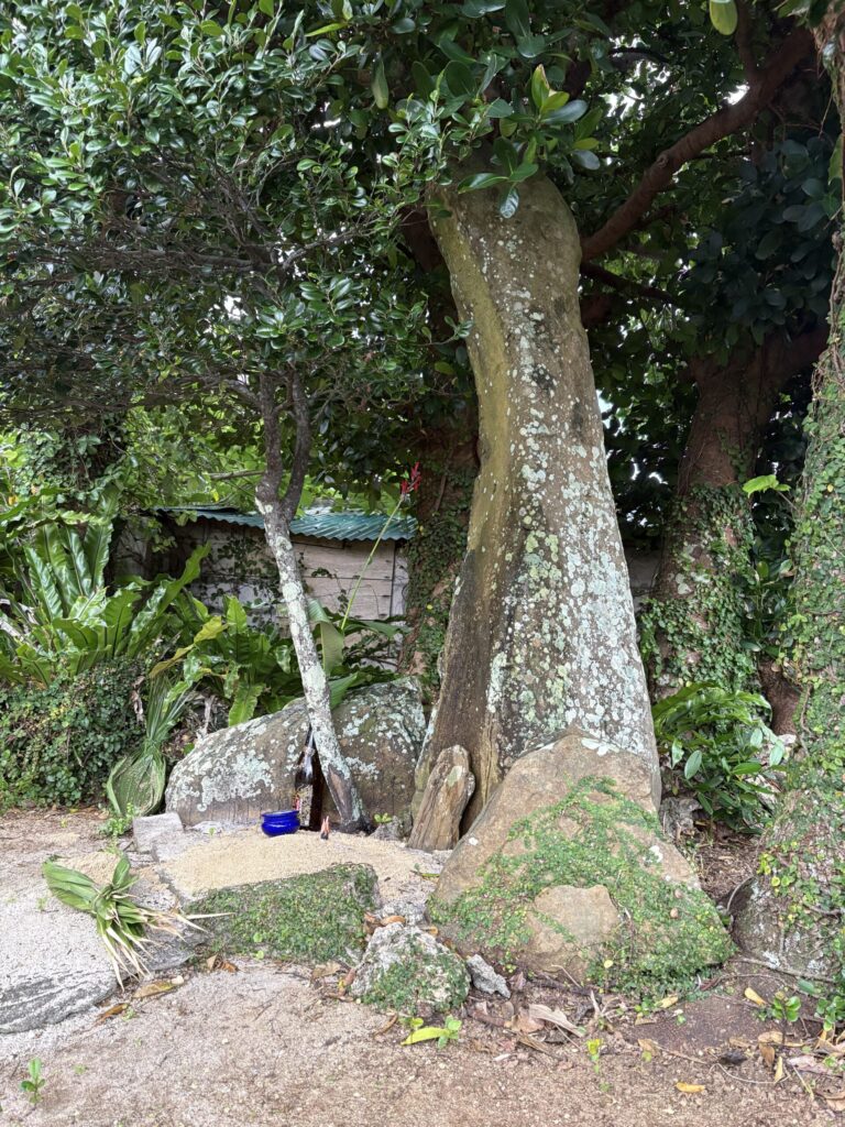 沖縄 与那国島 比川集落 本家 マチリ 拝所 トゥニ 御嶽 10干 陰陽五行説 庚申