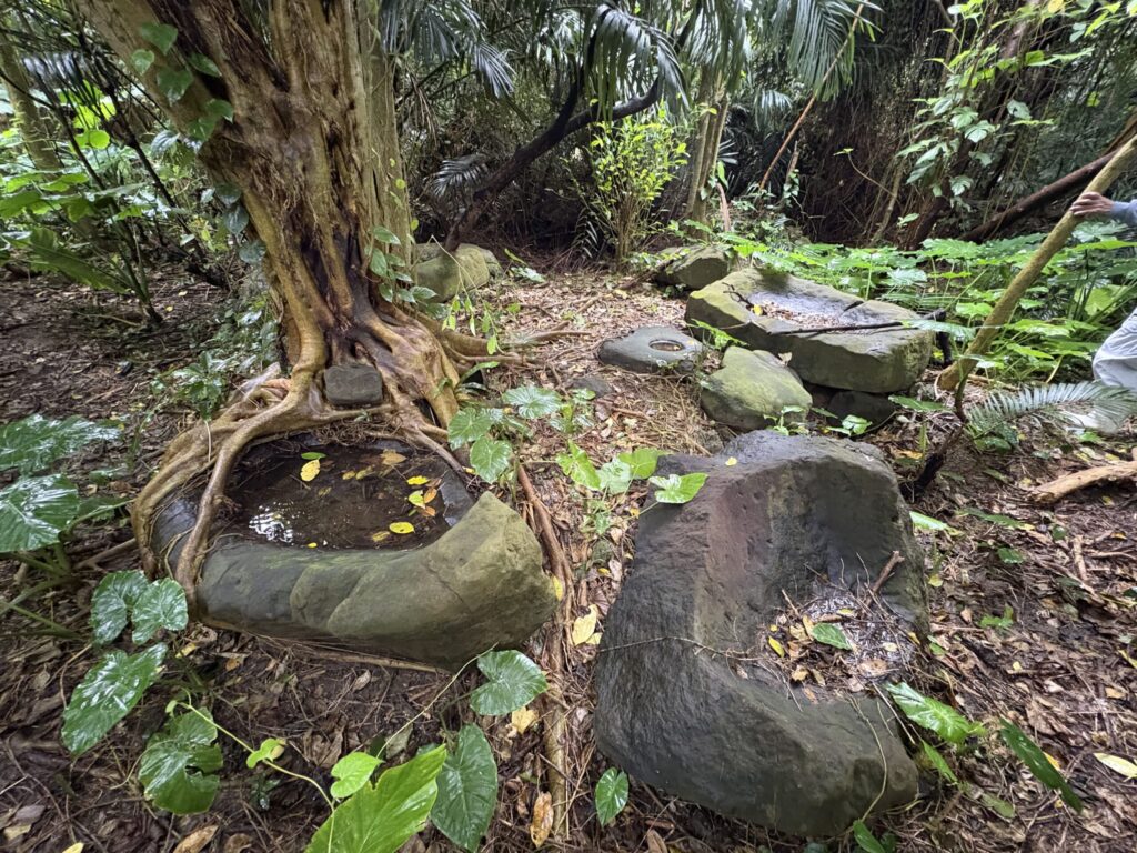 沖縄　与那国島　比川集落　本家　マチリ　拝所　トゥニ　御嶽　１０干　陰陽五行説　庚申
