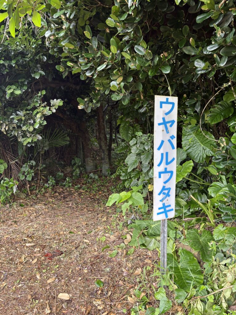 沖縄　与那国島　比川集落　本家　マチリ　拝所　トゥニ　御嶽　１０干　陰陽五行説　庚申