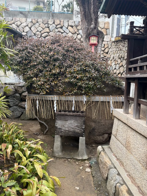 六甲　灘区　神戸市　兵庫県　見晴らし　厳島神社　