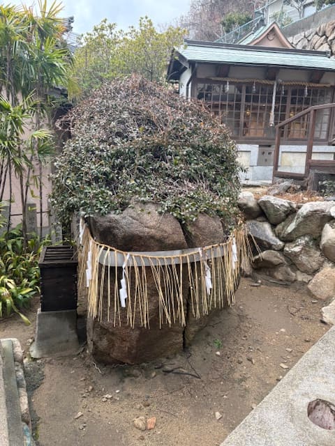 六甲　灘区　神戸市　兵庫県　見晴らし　厳島神社　