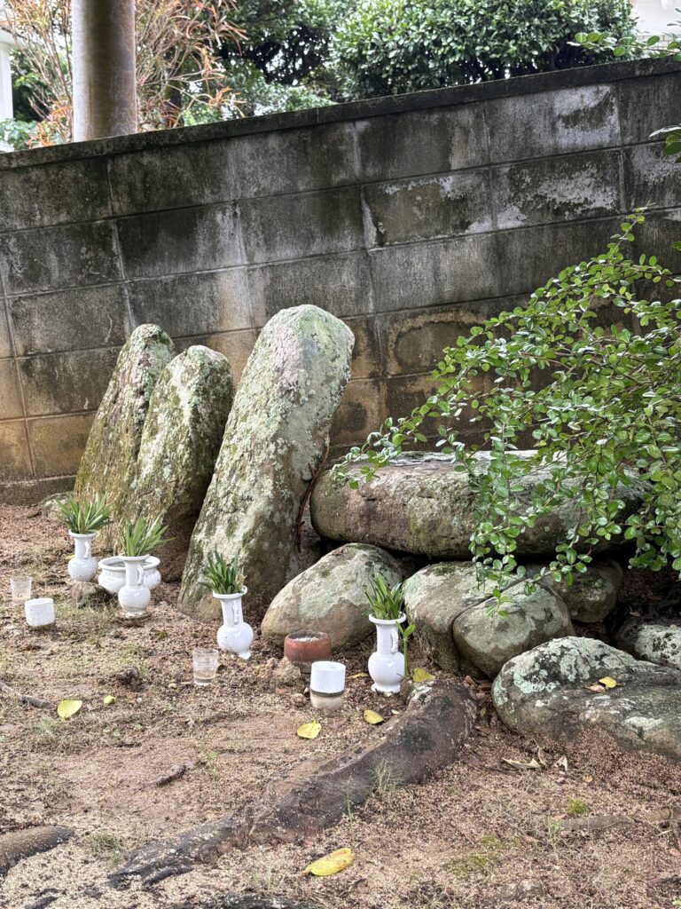 旅 旅行 沖縄 八重山 クバ DANCE tradition okinawa yonaguni 甲子 踊り 太鼓 祭壇 まつり 祭り 宴会 伝統 承継 伝承 親族 一族 集い 家族 社会 ハト 沖縄 与那国島 比川集落 本家 マチリ 拝所 トゥニ 御嶽 10干 陰陽五行説 庚申 食事 12支 杯 ワダツミ 海神 トゥニ ビディリ