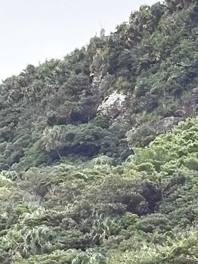 沖縄 与那国島 比川集落 本家 マチリ 拝所 トゥニ 御嶽 10干 陰陽五行説 庚申