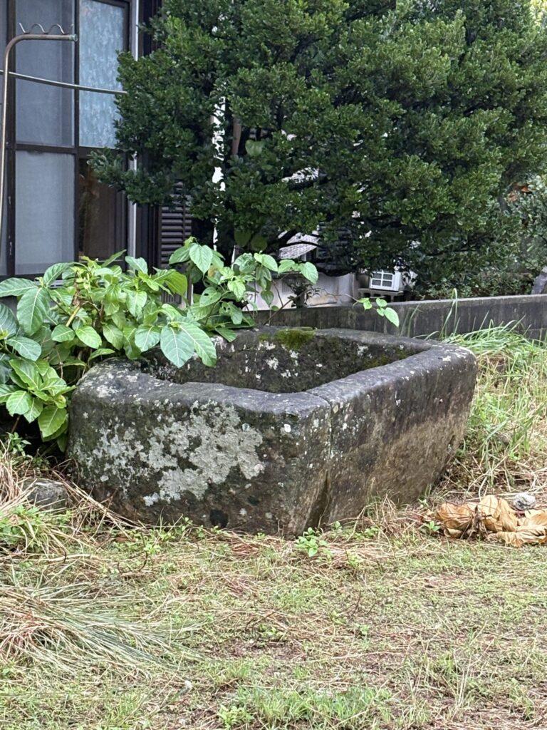 旅 旅行 沖縄 八重山 クバ DANCE tradition okinawa yonaguni 甲子 踊り 太鼓 祭壇 まつり 祭り 宴会 伝統 承継 伝承 親族 一族 集い 家族 社会 ハト　沖縄　与那国島　比川集落　本家　マチリ　拝所　トゥニ　御嶽　１０干　陰陽五行説　庚申 食事 １２支 杯 ワダツミ 海神 トゥニ ビディリ