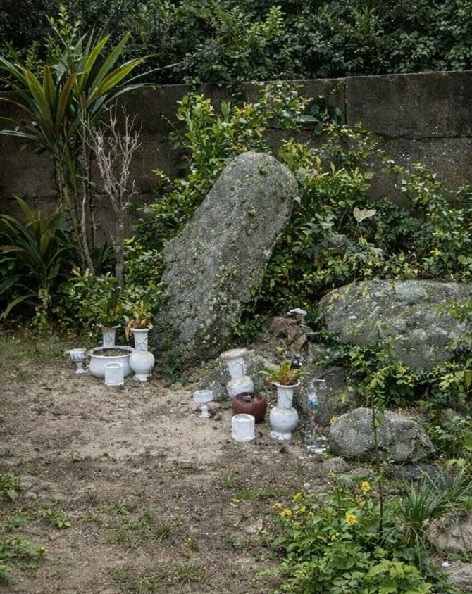 グンナ 長命草 旅 旅行 沖縄 八重山 クバ DANCE tradition okinawa yonaguni 甲子 踊り 太鼓 祭壇 まつり 祭り 宴会 伝統 承継 伝承 親族 一族 集い 家族 社会 ハト 沖縄 与那国島 比川集落 本家 マチリ 拝所 トゥニ 御嶽 10干 陰陽五行説 庚申 食事 12支 杯 ワダツミ 海神 トゥニ ビディリ