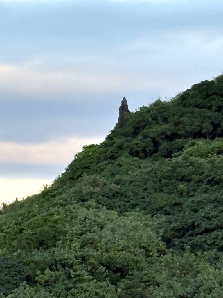 沖縄 与那国島 比川集落 本家 マチリ 拝所 トゥニ 御嶽 10干 陰陽五行説 庚申