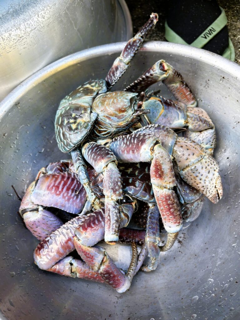 沖縄 与那国島 比川集落 本家 マチリ 拝所 トゥニ 御嶽 10干 陰陽五行説 庚申