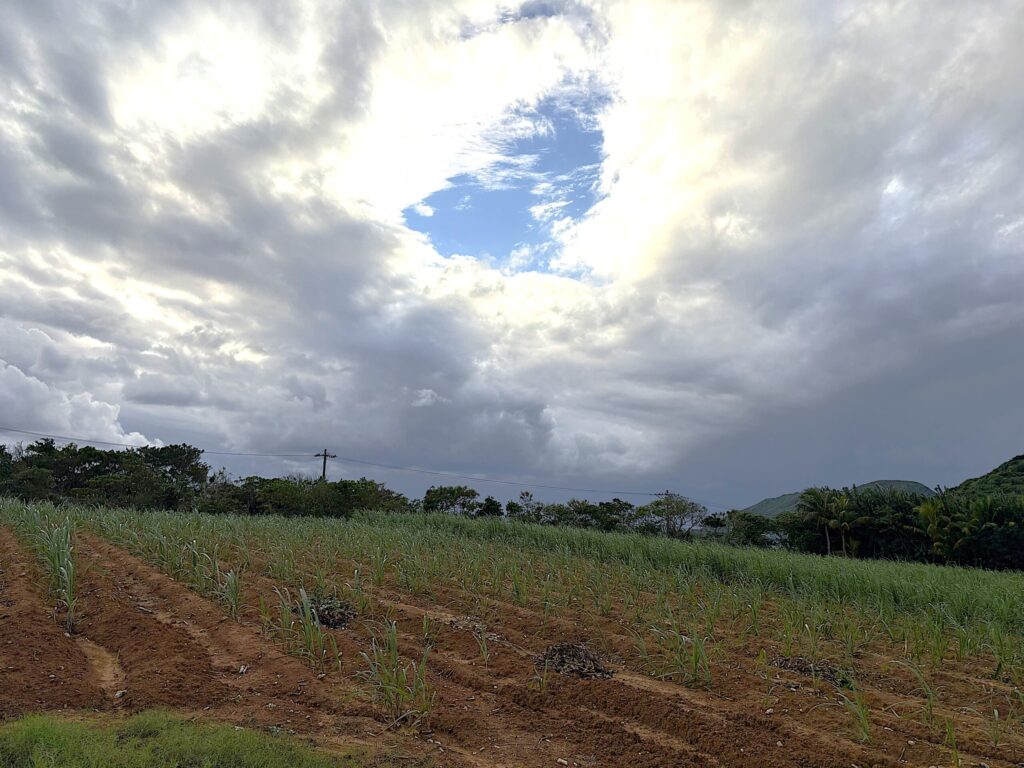 沖縄　与那国島　比川集落　本家　マチリ　拝所　トゥニ　御嶽