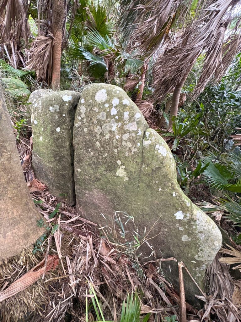 旅 旅行 沖縄 八重山 与那国 与那国島 祖納 比川 久部良 ダヌチン岳 久部良水神 にディリ トゥニ 御嶽 拝所 山 岳 シュウダ ヘビ 蛇 磐座 巨石 神 信仰 根 ミミイシ ミミシ どなん 花酒 泡盛 地図 冒険 探検 宝探し 好奇心