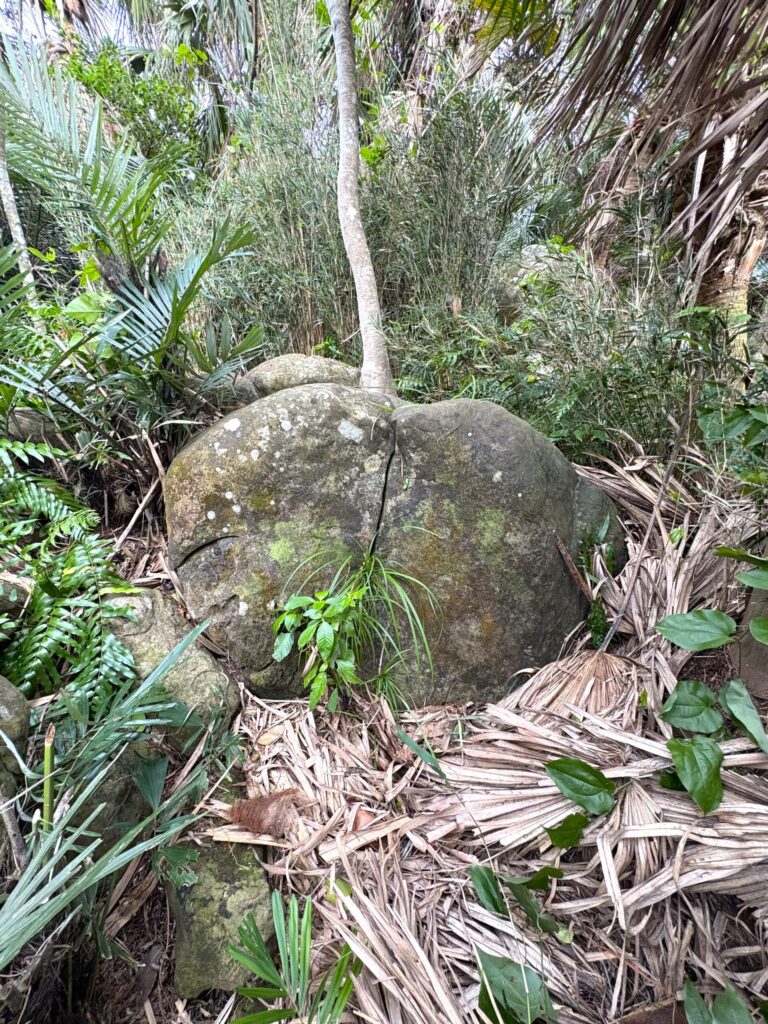 旅 旅行 沖縄 八重山 与那国 与那国島 祖納 比川 久部良 ダヌチン岳 久部良水神 にディリ トゥニ 御嶽 拝所 山 岳 シュウダ ヘビ 蛇 磐座 巨石 神 信仰 根 ミミイシ ミミシ どなん 花酒 泡盛 地図 冒険 探検 宝探し 好奇心