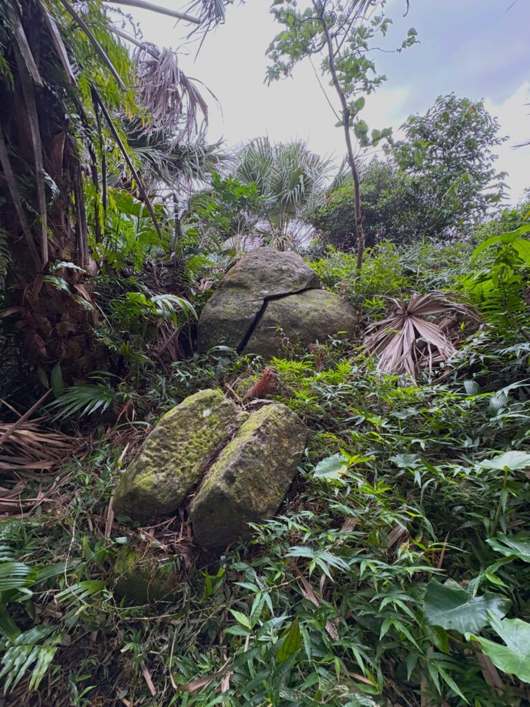 旅 旅行 沖縄 八重山 与那国 与那国島 祖納 比川 久部良 ダヌチン岳 久部良水神 にディリ トゥニ 御嶽 拝所 山 岳 シュウダ ヘビ 蛇 磐座 巨石 神 信仰 根 ミミイシ ミミシ どなん 花酒 泡盛 地図 冒険 探検 宝探し 好奇心