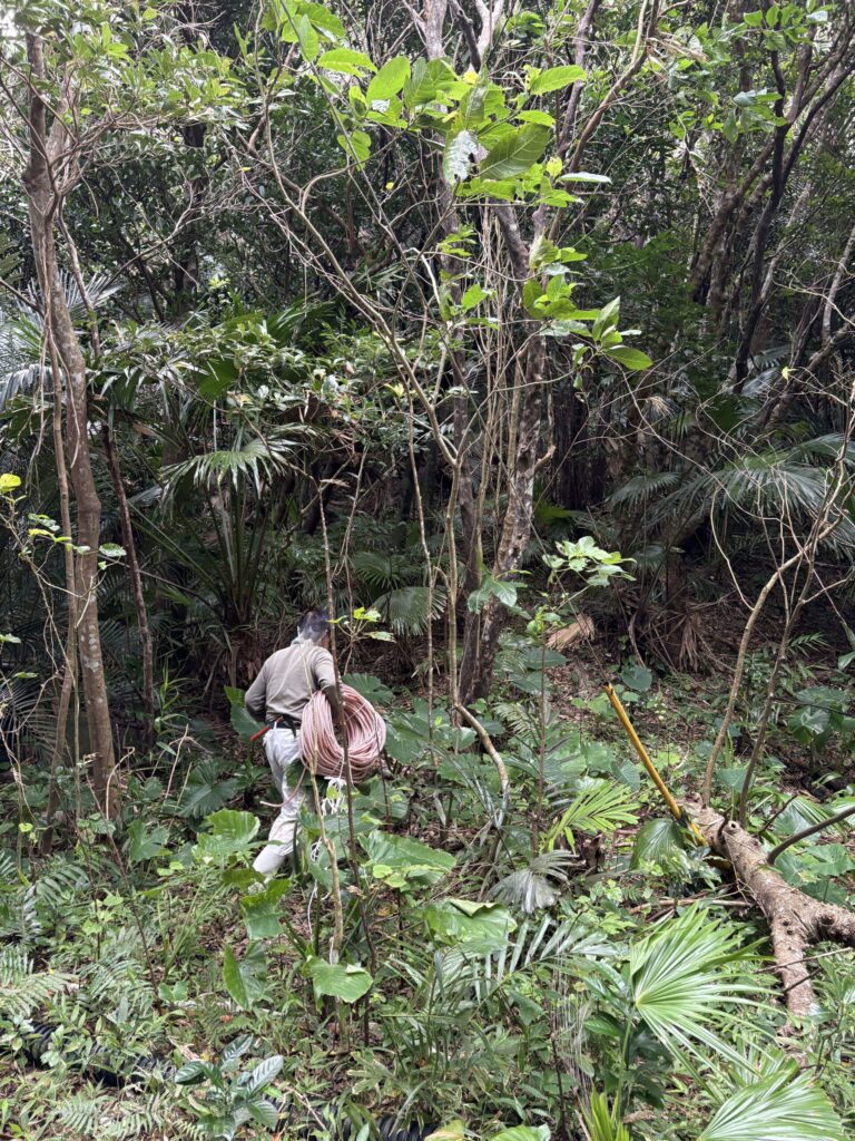旅 旅行 沖縄 八重山 与那国 与那国島 祖納 比川 久部良 ダヌチン岳 久部良水神 にディリ トゥニ 御嶽 拝所 山 岳 シュウダ ヘビ 蛇 磐座 巨石 神 信仰 根 ミミイシ ミミシ どなん 花酒 泡盛 地図 冒険 探検 宝探し 好奇心