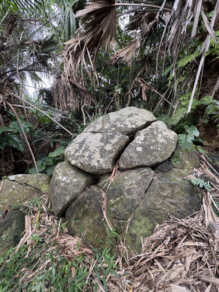 旅 旅行 沖縄 八重山 与那国 与那国島 祖納 比川 久部良 ダヌチン岳 久部良水神 にディリ トゥニ 御嶽 拝所 山 岳 シュウダ ヘビ 蛇 磐座 巨石 神 信仰 根 ミミイシ ミミシ どなん 花酒 泡盛 地図 冒険 探検 宝探し 好奇心