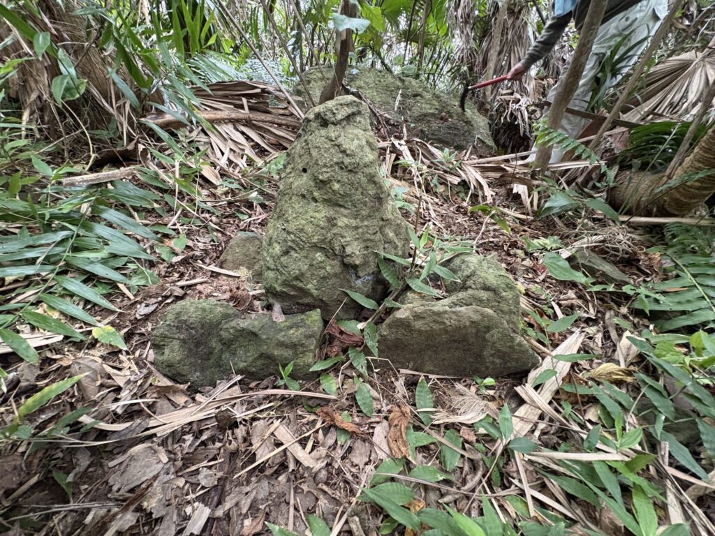 旅 旅行 沖縄 八重山 与那国 与那国島 祖納 比川 久部良 ダヌチン岳 久部良水神 にディリ トゥニ 御嶽 拝所 山 岳 シュウダ ヘビ 蛇 磐座 巨石 神 信仰 根 ミミイシ ミミシ どなん 花酒 泡盛 地図 冒険 探検 宝探し 好奇心