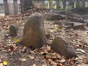 旅 旅行 沖縄 八重山 与那国 与那国島 祖納 比川 久部良 ダヌチン岳 久部良水神 にディリ トゥニ 御嶽 拝所 山 岳 シュウダ ヘビ 蛇 磐座 巨石 神 信仰 根 ミミイシ ミミシ どなん 花酒 泡盛 地図 冒険 探検 宝探し 好奇心