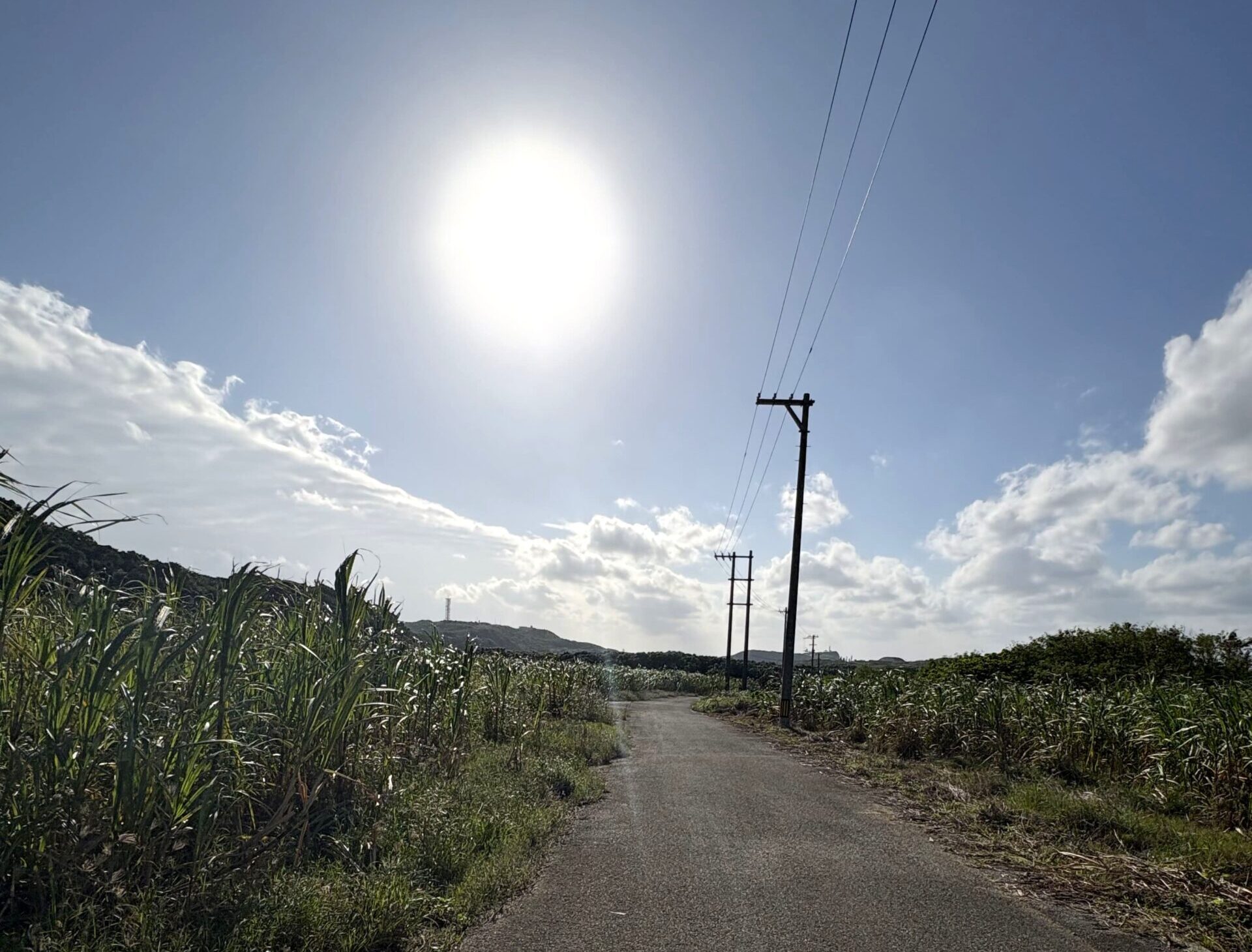 旅　旅行　沖縄　八重山　与那国　与那国島　祖納　比川　久部良　ダヌチン岳　久部良水神　にディリ　トゥニ　御嶽　拝所　山　岳　　シュウダ　ヘビ　蛇　磐座　巨石　神　信仰　根　ミミイシ　ミミシ　どなん　花酒　泡盛　地図　冒険　探検　宝探し　好奇心