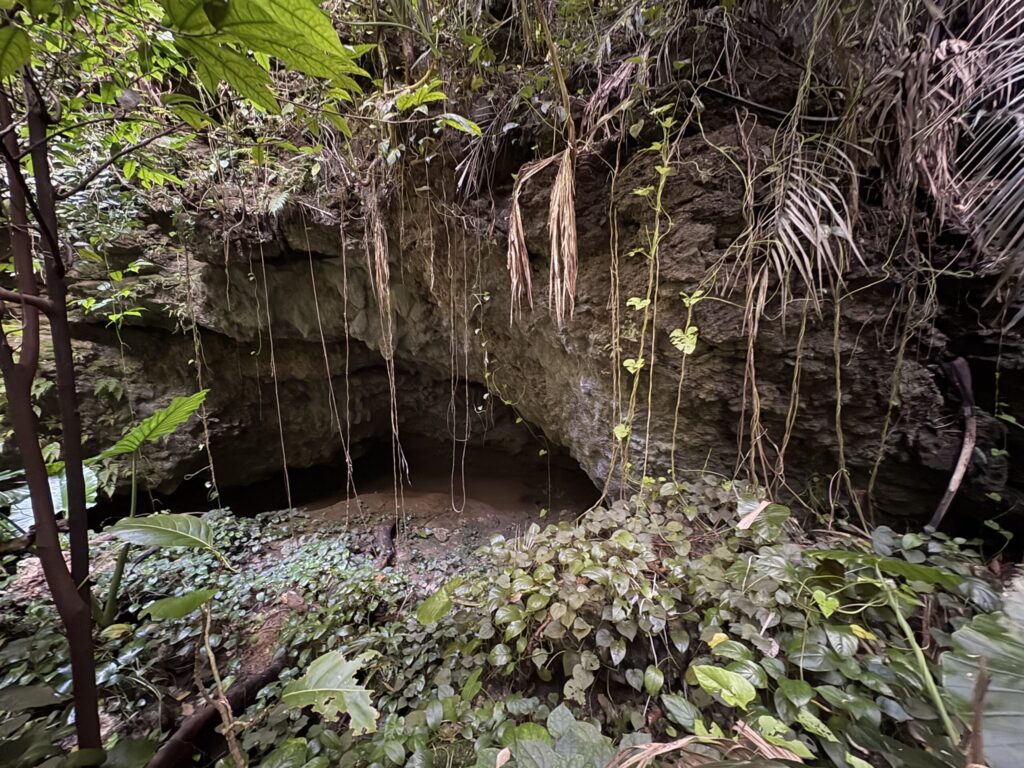 旅 旅行 沖縄 八重山 与那国 与那国島 祖納 比川 久部良 ダヌチン岳 久部良水神 にディリ トゥニ 御嶽 拝所 山 岳 シュウダ ヘビ 蛇 磐座 巨石 神 信仰 根 ミミイシ ミミシ どなん 花酒 泡盛 地図 冒険 探検 宝探し 好奇心