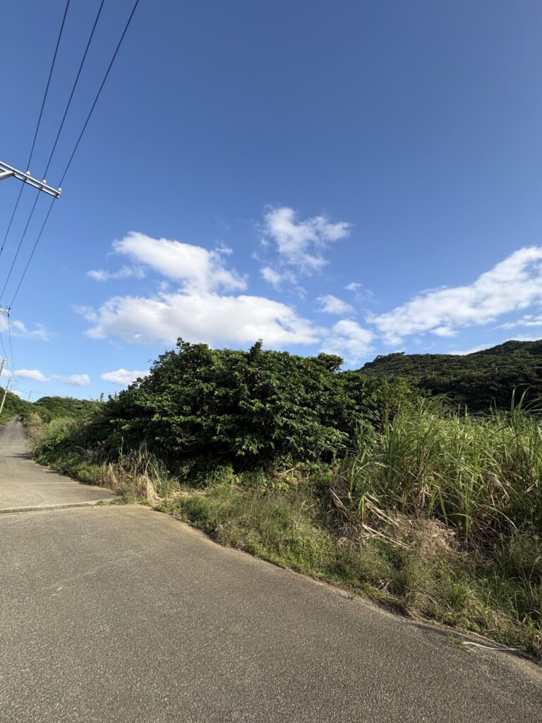 旅 旅行 沖縄 八重山 与那国 与那国島 祖納 比川 久部良 ダヌチン岳 久部良水神 にディリ トゥニ 御嶽 拝所 山 岳 シュウダ ヘビ 蛇 磐座 巨石 神 信仰 根 ミミイシ ミミシ どなん 花酒 泡盛 地図 冒険 探検 宝探し 好奇心