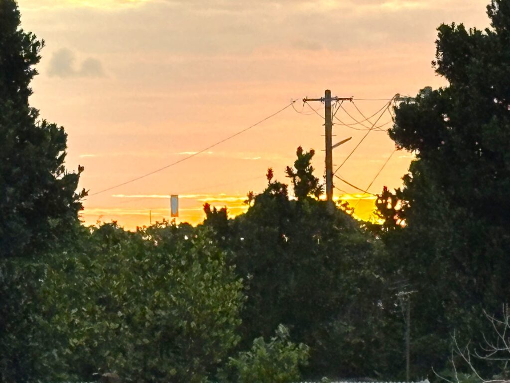 旅 旅行 沖縄 八重山 与那国 与那国島 祖納 比川 久部良 ダヌチン岳 久部良水神 にディリ トゥニ 御嶽 拝所 山 岳 シュウダ ヘビ 蛇 磐座 巨石 神 信仰 根 ミミイシ ミミシ どなん 花酒 泡盛 地図 冒険 探検 宝探し 好奇心